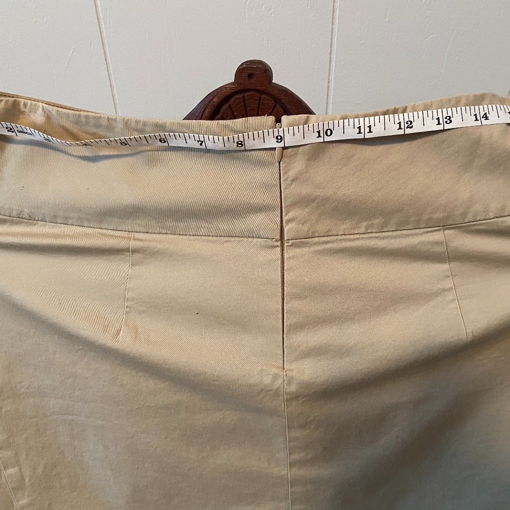 Banana Republic Skirt